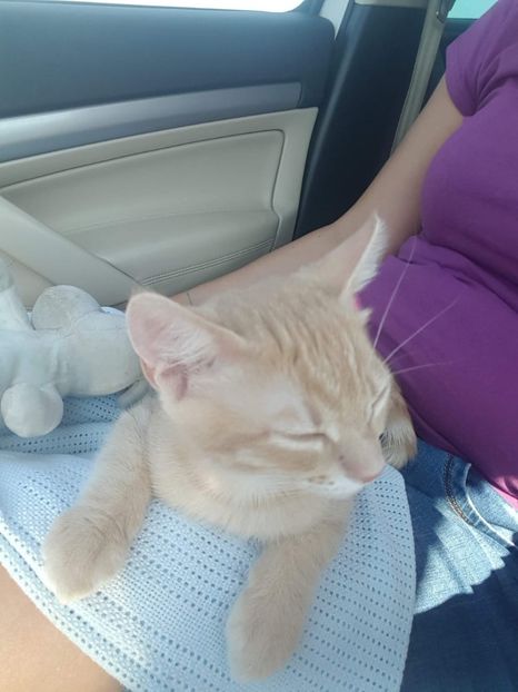 IMG-20240513-WA0112 - 1Aris