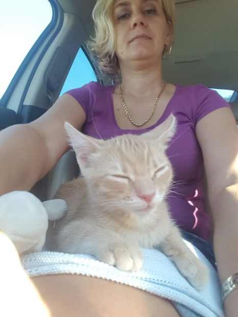 IMG-20240513-WA0116 - 1Aris