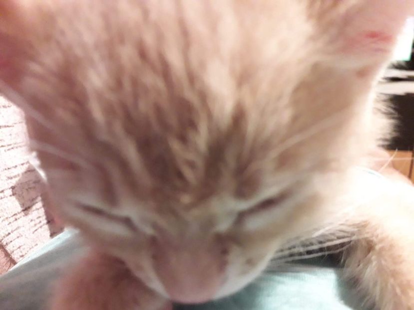 IMG-20240513-WA0129 - 1Aris