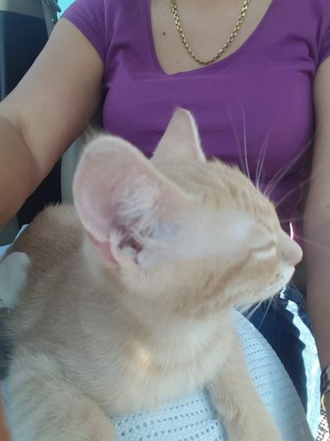 IMG-20240513-WA0130 - 1Aris