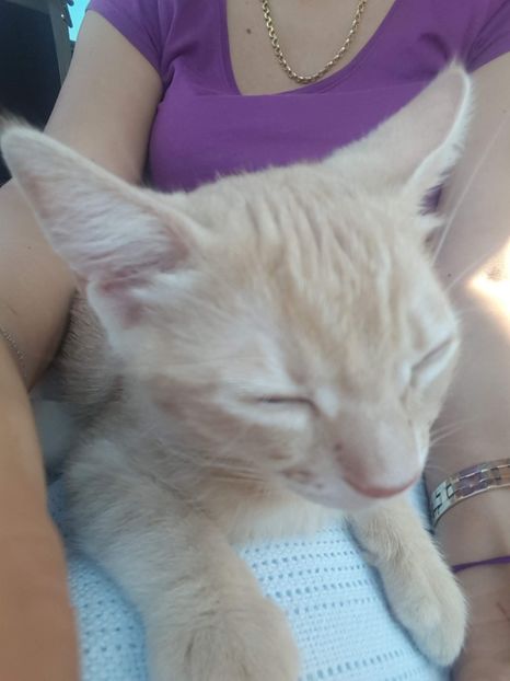 IMG-20240513-WA0131 - 1Aris