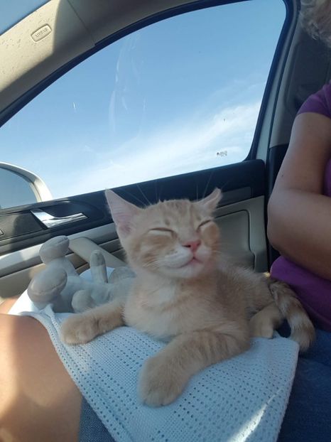 IMG-20240513-WA0134 - 1Aris