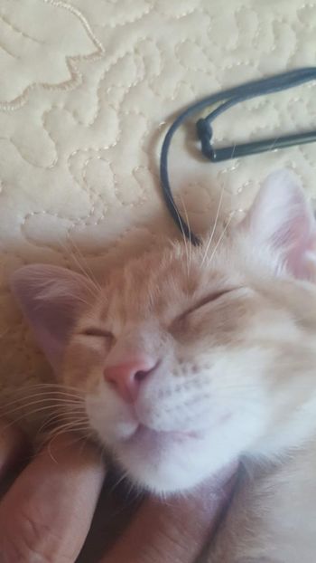 IMG-20240513-WA0138 - 1Aris