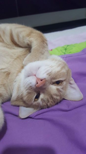 IMG-20240513-WA0143 - 1Aris