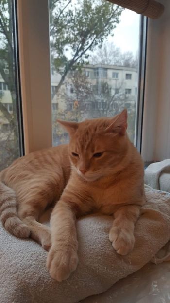 IMG-20240513-WA0148 - 1Aris