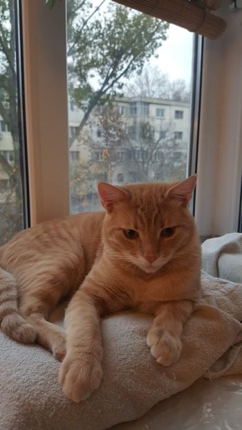 IMG-20240513-WA0149 - 1Aris