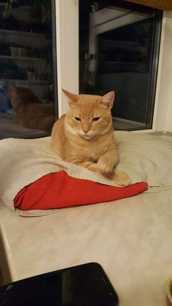 IMG-20240513-WA0151 - 1Aris