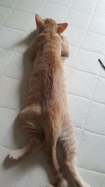 IMG-20240513-WA0153 - 1Aris