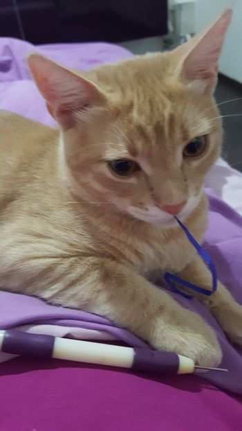 IMG-20240513-WA0158 - 1Aris