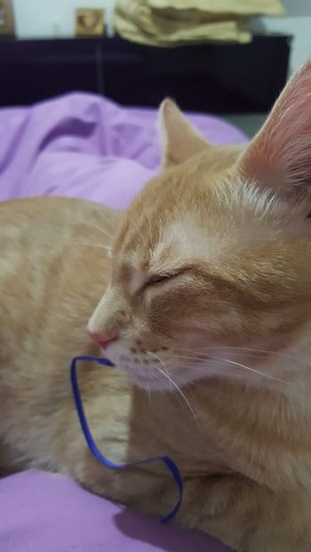 IMG-20240513-WA0157 - 1Aris