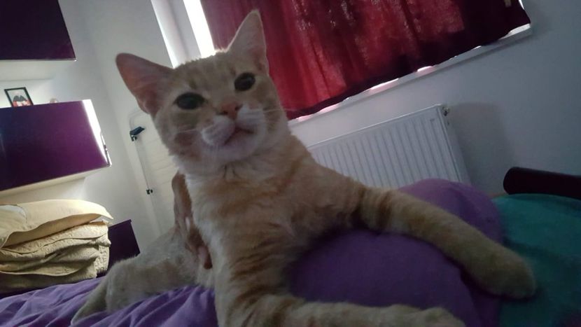 IMG-20240513-WA0155 - 1Aris