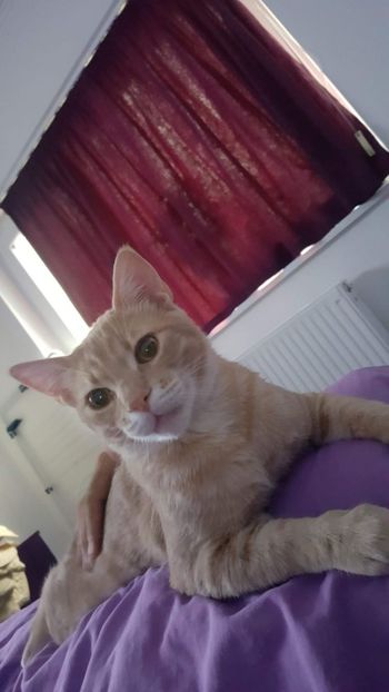 IMG-20240513-WA0159 - 1Aris