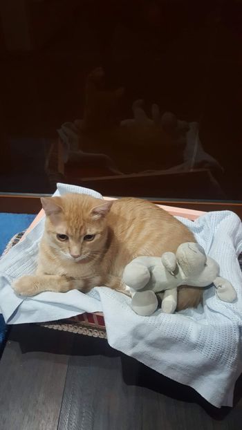 IMG-20240513-WA0161 - 1Aris