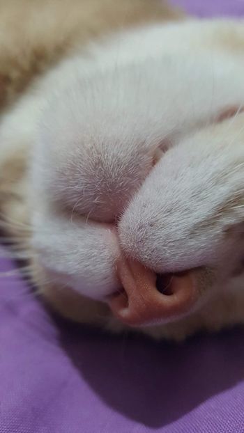 IMG-20240513-WA0165 - 1Aris