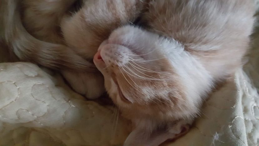 IMG-20240513-WA0174 - 1Aris