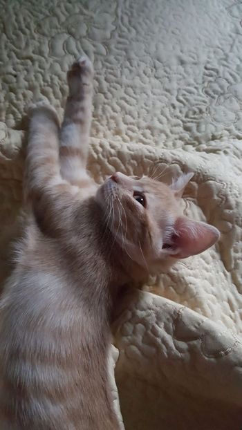 IMG-20240513-WA0192 - 1Aris