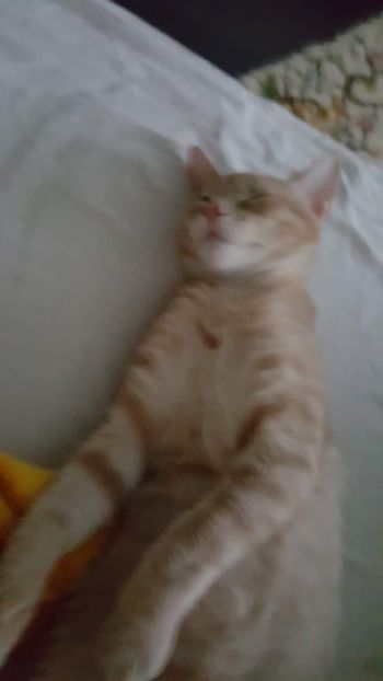 IMG-20240513-WA0178 - 1Aris