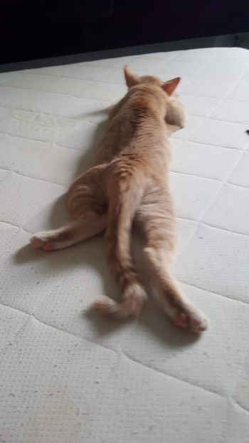 IMG-20240513-WA0180 - 1Aris