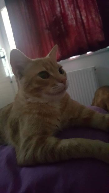 IMG-20240513-WA0181 - 1Aris