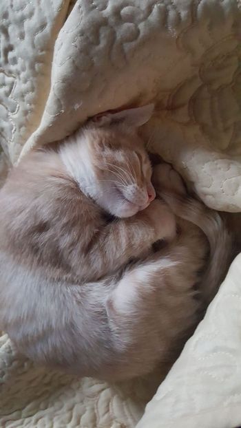 IMG-20240513-WA0182 - 1Aris