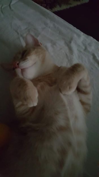 IMG-20240513-WA0189 - 1Aris