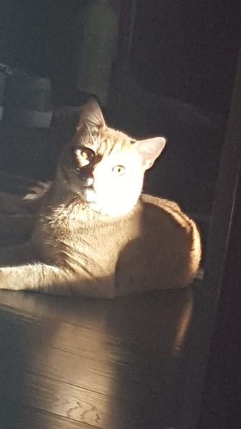 IMG-20240513-WA0214 - 1Aris