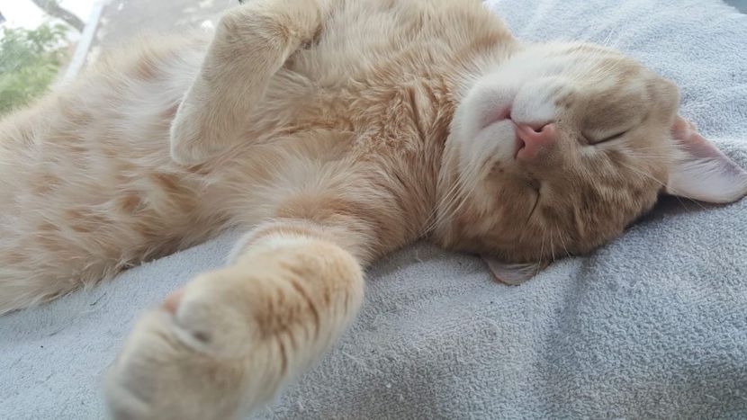 IMG-20240513-WA0207 - 1Aris