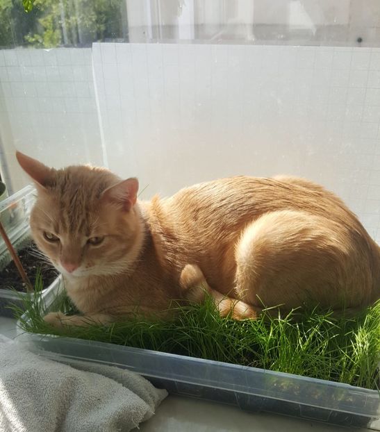 IMG-20240513-WA0206 - 1Aris