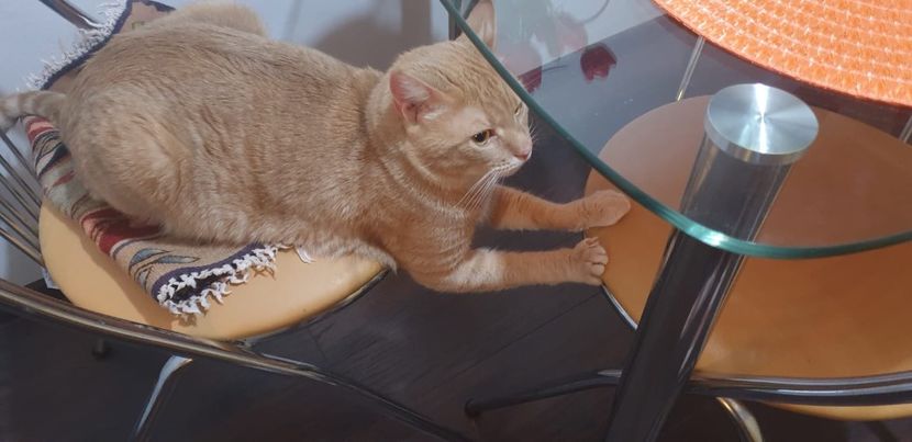 IMG-20240513-WA0205 - 1Aris