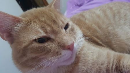 IMG-20240513-WA0204 - 1Aris