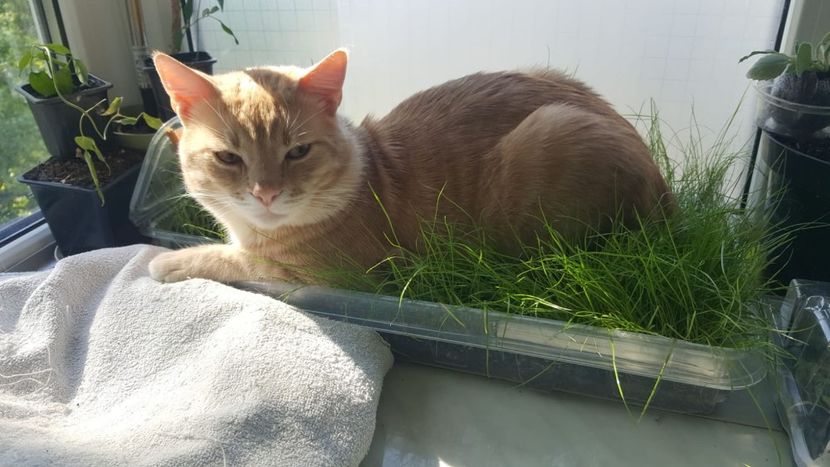 IMG-20240513-WA0202 - 1Aris