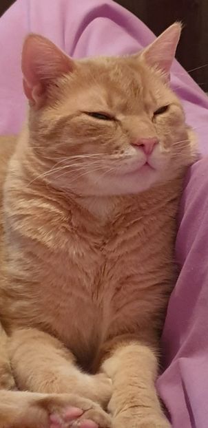 IMG-20240513-WA0201 - 1Aris