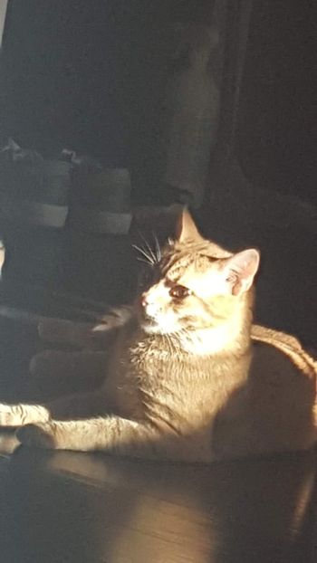 IMG-20240513-WA0198 - 1Aris