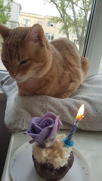 IMG-20240513-WA0197 - 1Aris