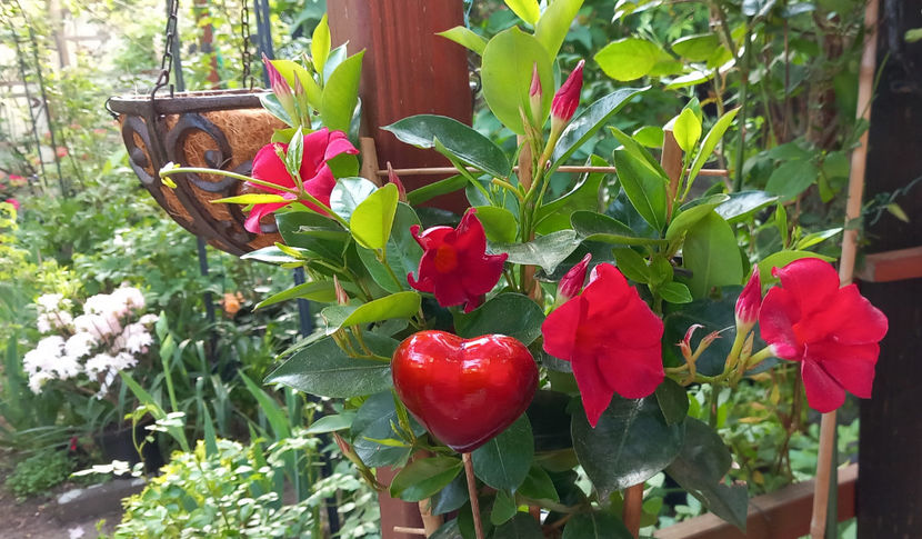  - 2024 - 01 - Primavara