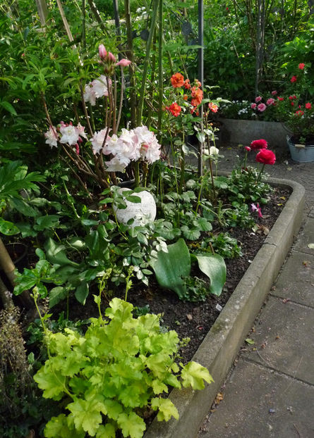  - 2024 - 01 - Primavara