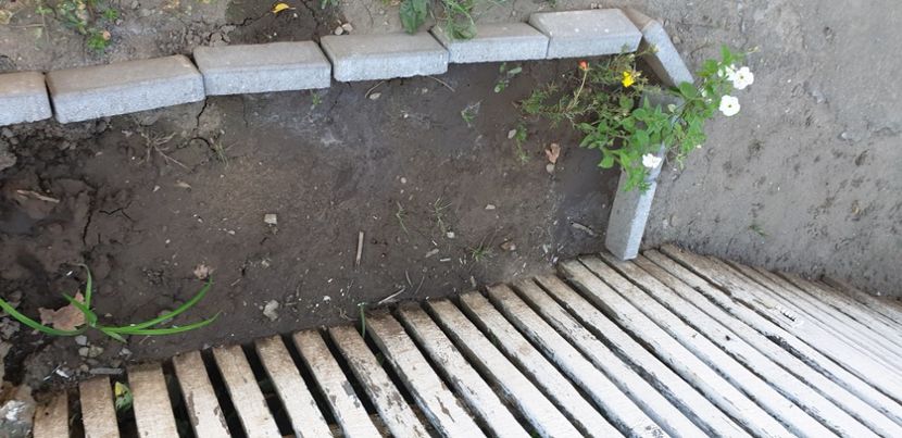  - Gradina tara 2021