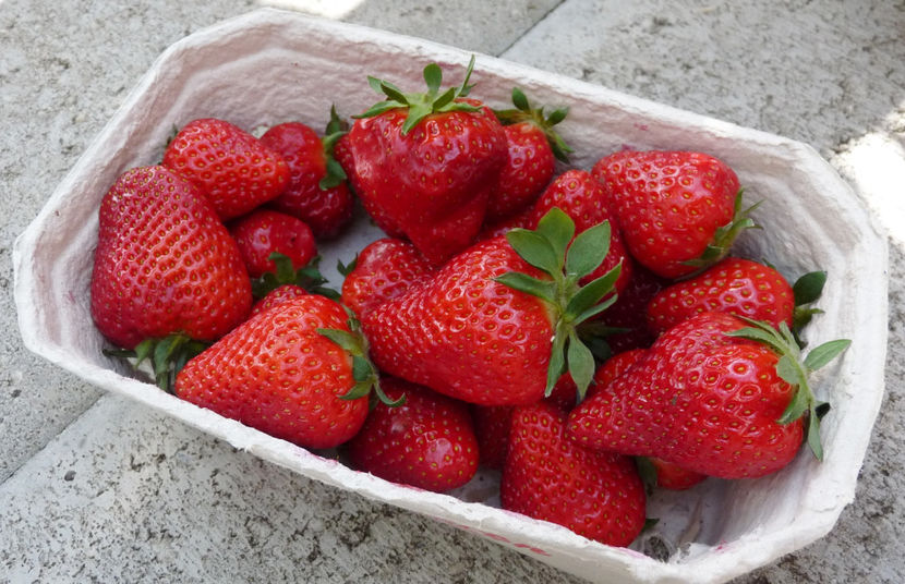  - 2024 - 01 - Primavara