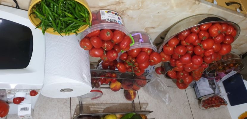  - Gradina tara 2021