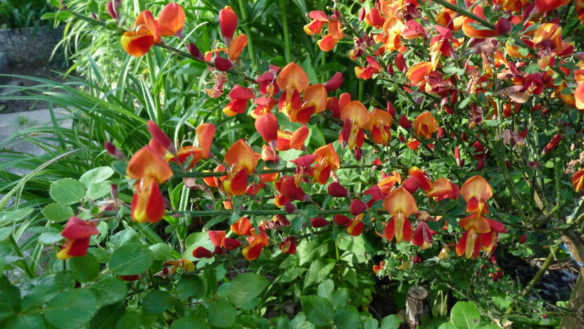  - 2024 - 01 - Primavara