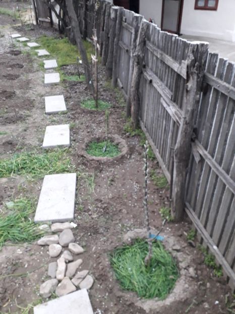 IMG-20210419-WA0009 - Gradina tara 2021