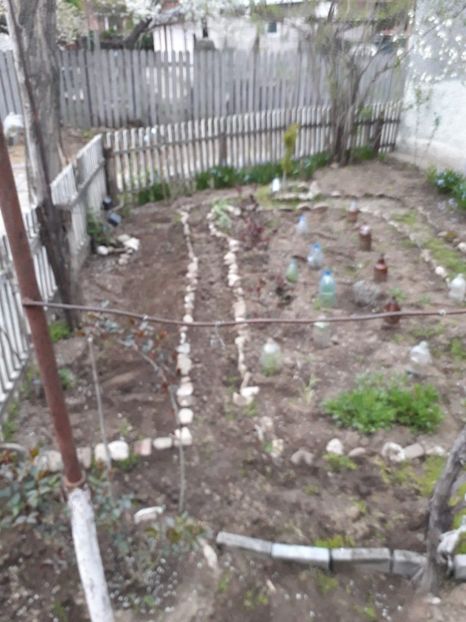 IMG-20210419-WA0010 - Gradina tara 2021