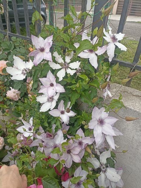 2024-13.05 - 28 Utopia