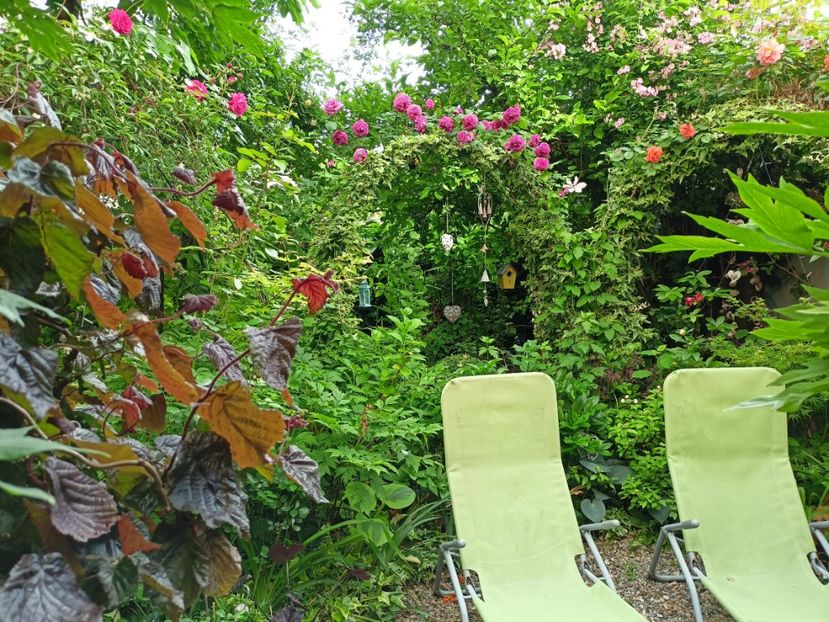  - Grădina 2024 continuare 2