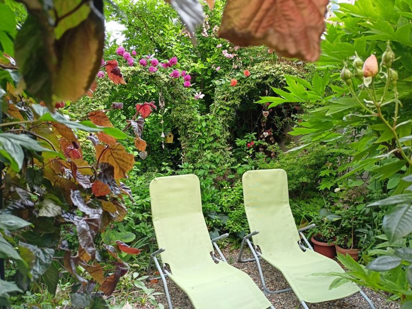  - Grădina 2024 continuare 2