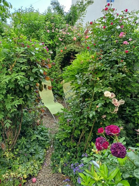  - Grădina 2024 continuare 2