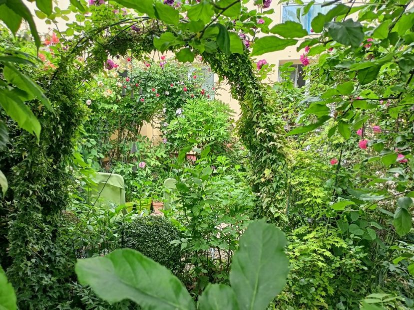  - Grădina 2024 continuare 2