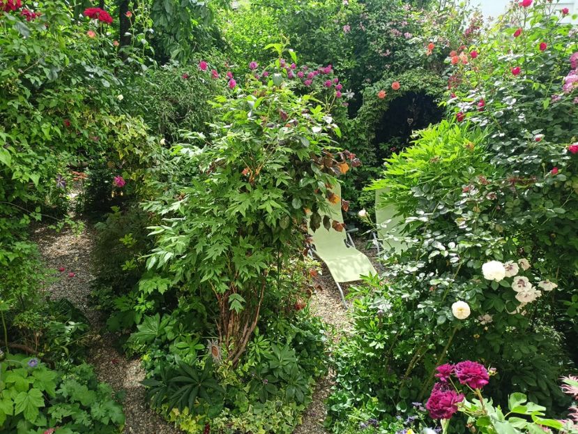  - Grădina 2024 continuare 2