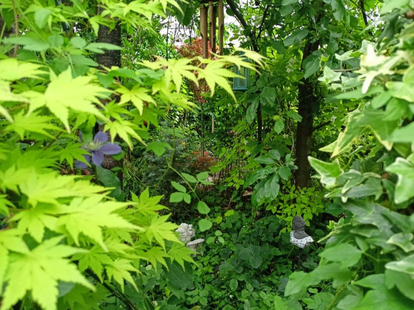  - Grădina 2024 continuare 2