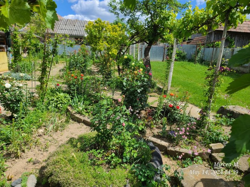 Img.2024.05.14 - Grădina mea de la țară